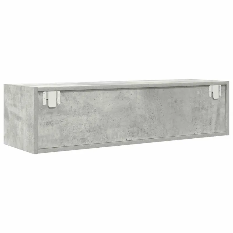 Televizoriaus spintelė Betono pilka 100 x 31 x 25,5 cm