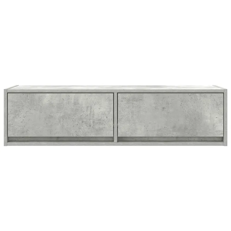 Televizoriaus spintelė Betono pilka 100 x 31 x 25,5 cm