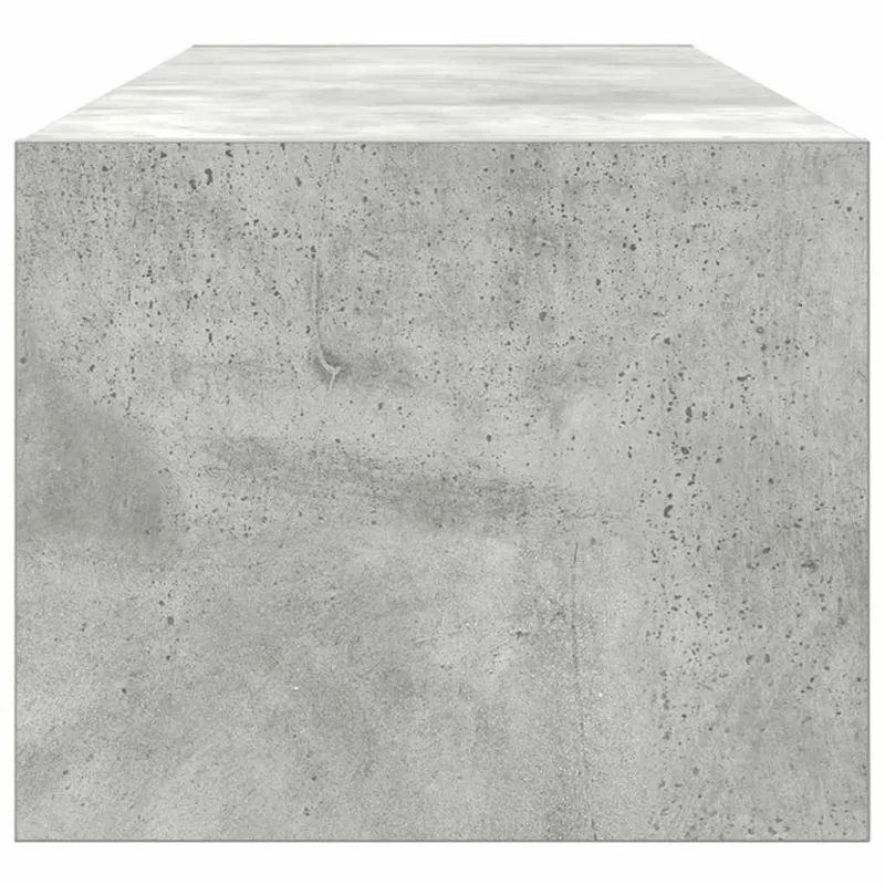 Televizoriaus spintelė Betono pilka 100 x 31 x 25,5 cm