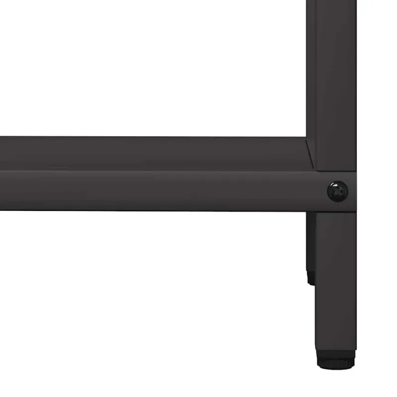 Malkų lentyna Juoda 40x25x120 cm Šaltai valcuotas plienas