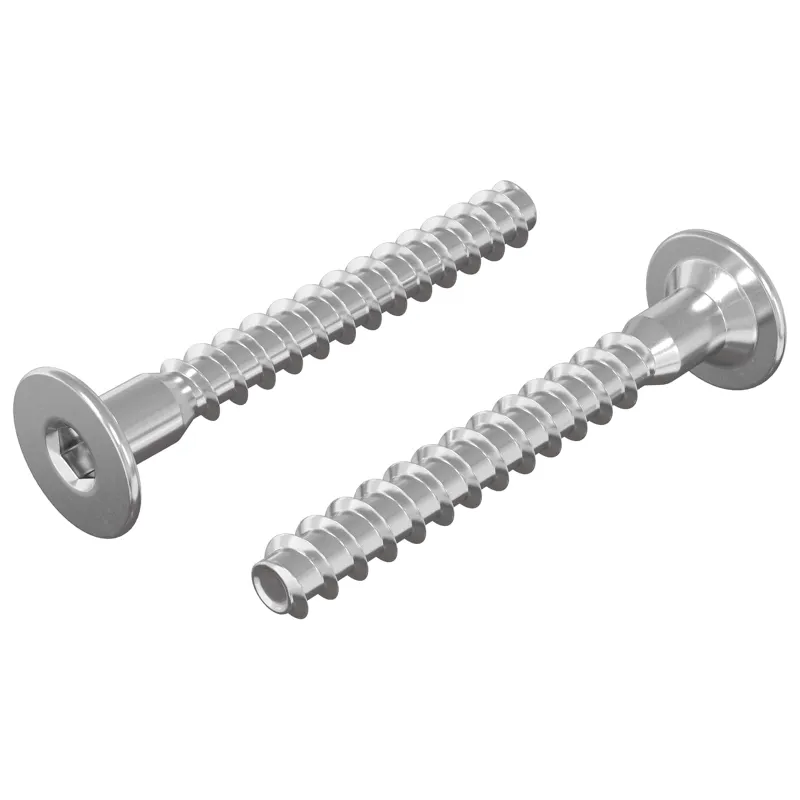Confirmat varžtai 2 pcs Sidabro Ø5 x 40 mm Metalas