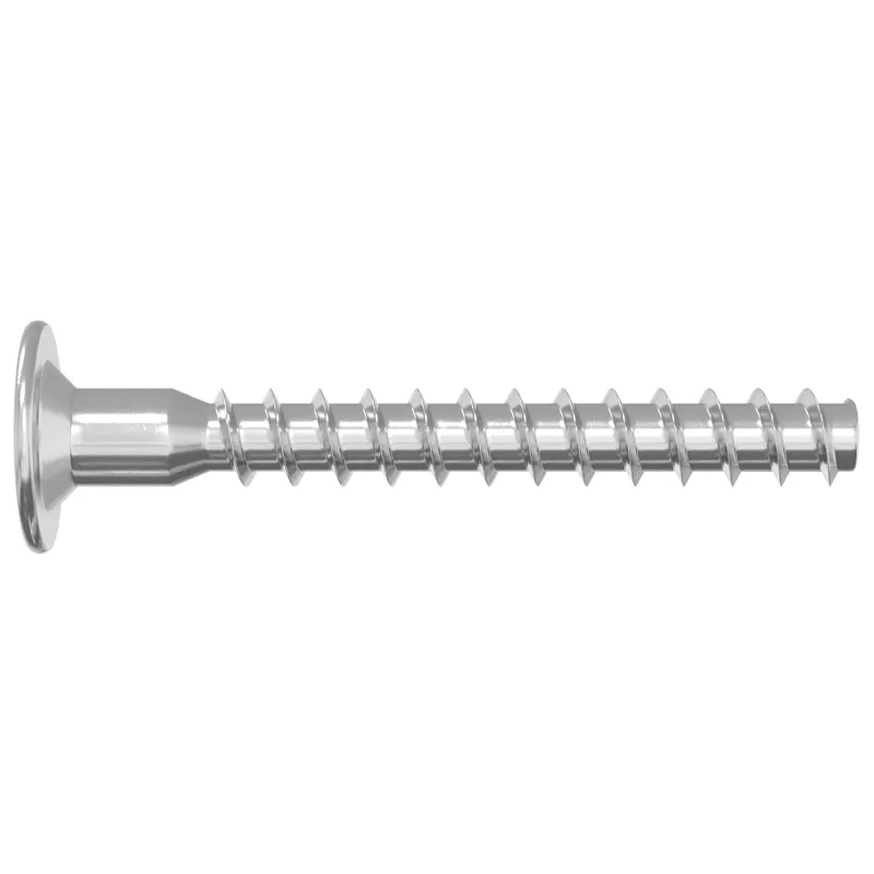 Confirmat varžtai 2 pcs Sidabro Ø5 x 40 mm Metalas