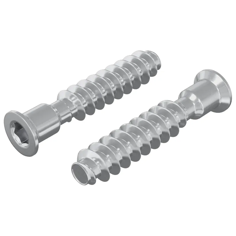 Galvutės varžtas 2 pcs Sidabro M7 x 40 mm Plienas