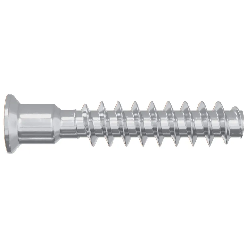 Galvutės varžtas 2 pcs Sidabro M7 x 40 mm Plienas