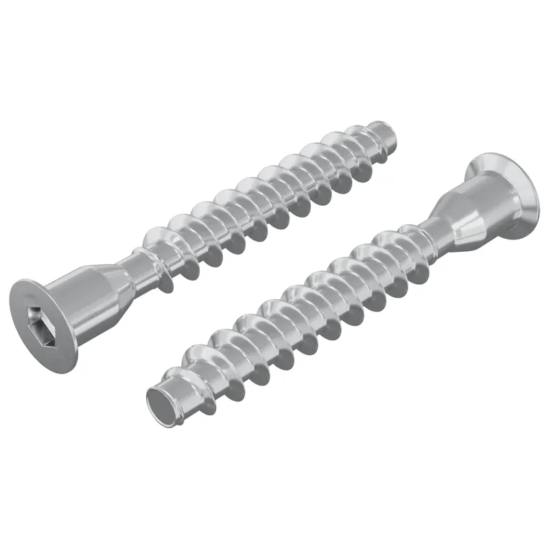 Confirmat varžtai 2 pcs Sidabro Ø7 x 50 mm Metalas