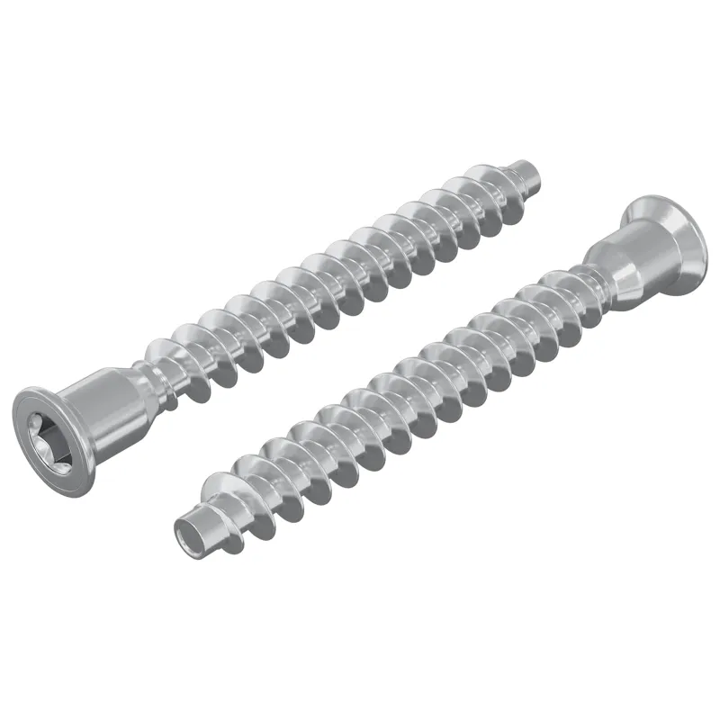 Confirmat varžtai 2 pcs Sidabro Ø7 x 58 mm Metalas