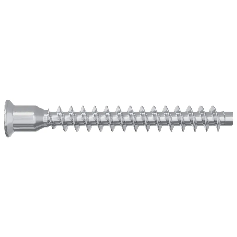 Confirmat varžtai 12 pcs Sidabro Ø7 x 58 mm Metalas