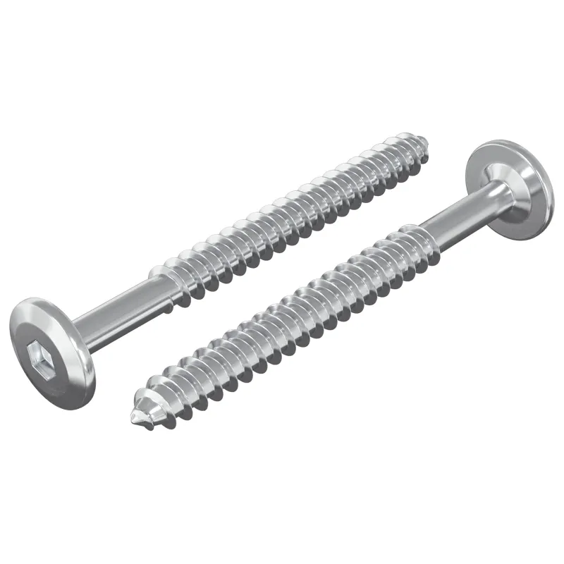 Mediniai varžtai 2 pcs Sidabro M6 x 70 mm Plienas