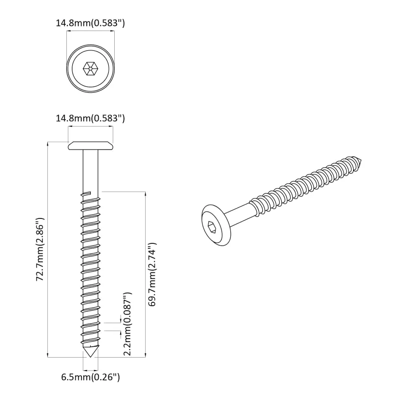 Mediniai varžtai 2 pcs Sidabro M6 x 70 mm Plienas