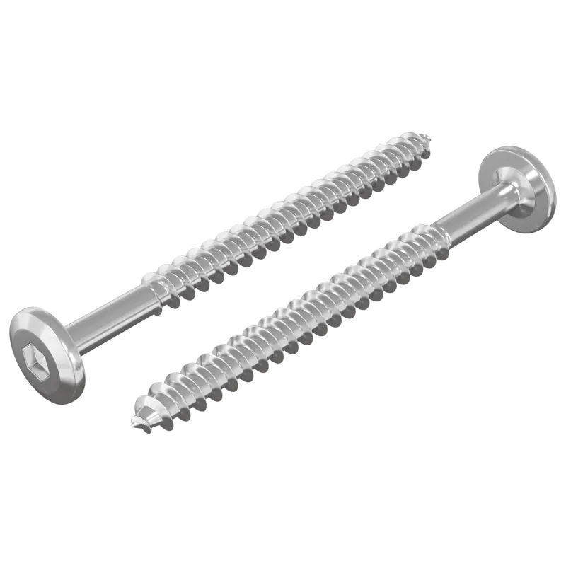Mediniai varžtai 2 pcs Sidabro M6 x 70 mm Plienas