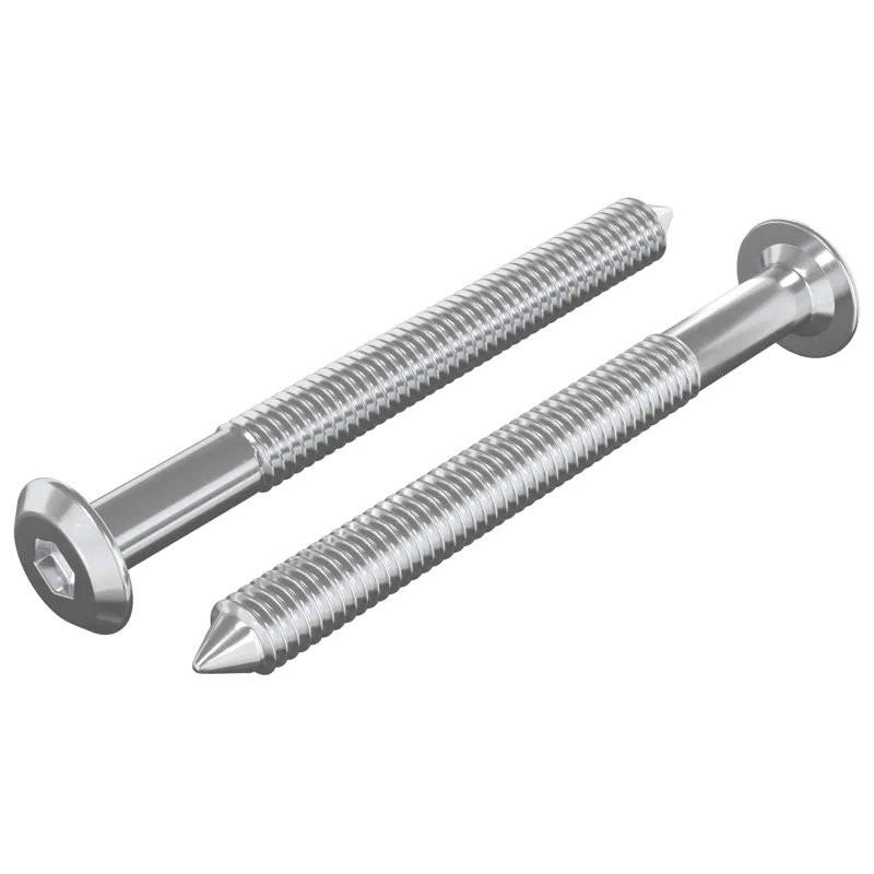 Baldų varžtai 2 pcs Sidabro M6 x 60 mm Plienas