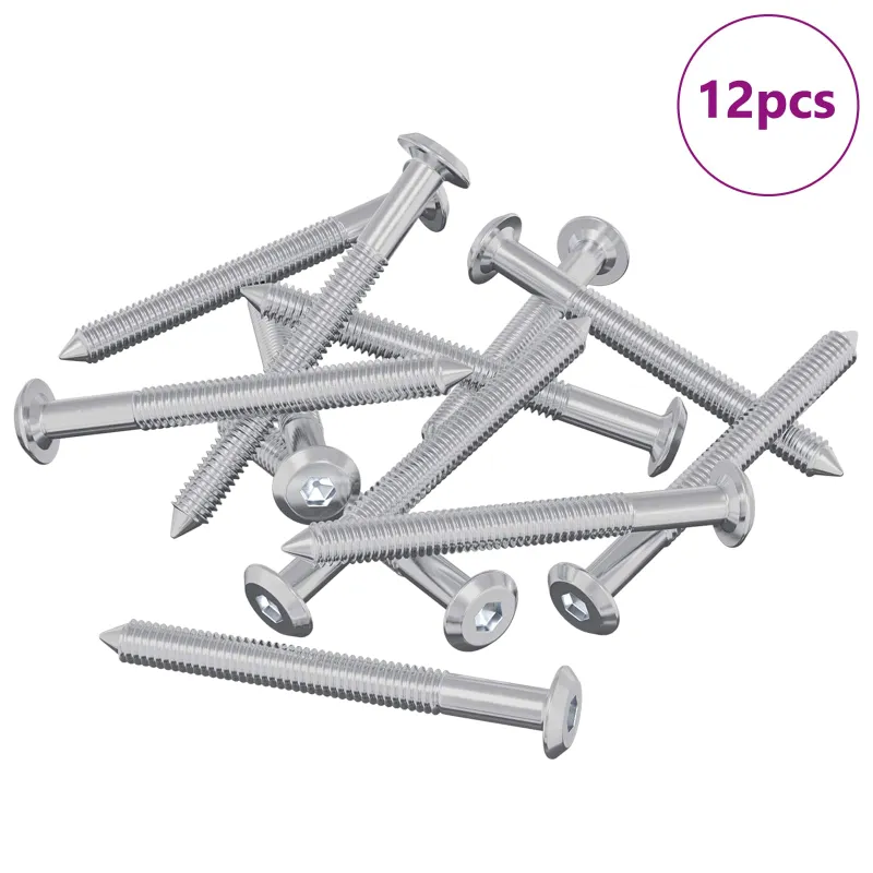 Baldų varžtai 12 pcs Sidabro M6 x 60 mm Plienas