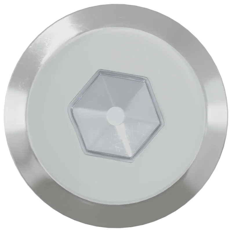 Baldų varžtai 12 pcs Sidabro M6 x 60 mm Plienas