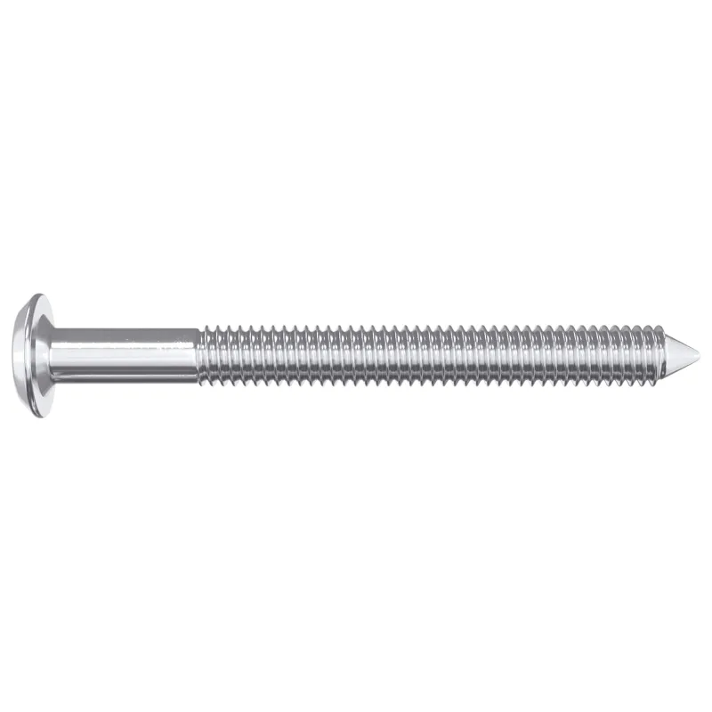 Baldų varžtai 12 pcs Sidabro M6 x 60 mm Plienas