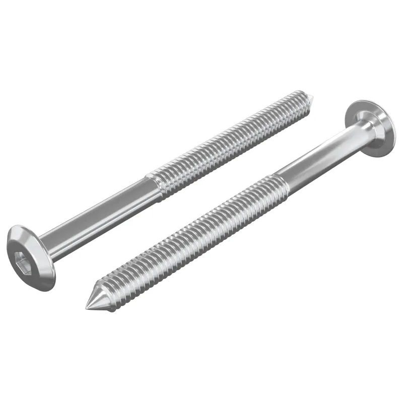Baldų varžtai 2 pcs Sidabro M6 x 70 mm Plienas