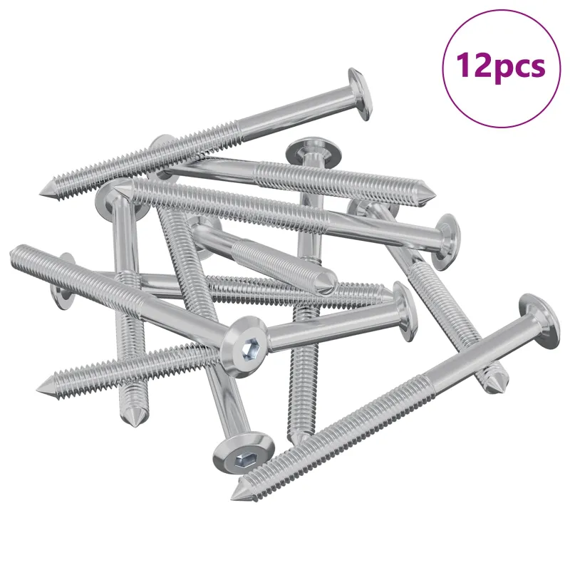 Baldų varžtai 12 pcs Sidabro M6 x 70 mm Plienas