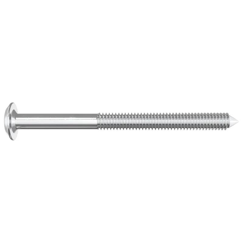 Baldų varžtai 12 pcs Sidabro M6 x 70 mm Plienas