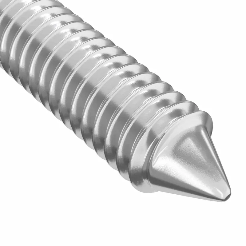 Baldų varžtai 2 pcs Sidabro M6 x 100 mm Plienas