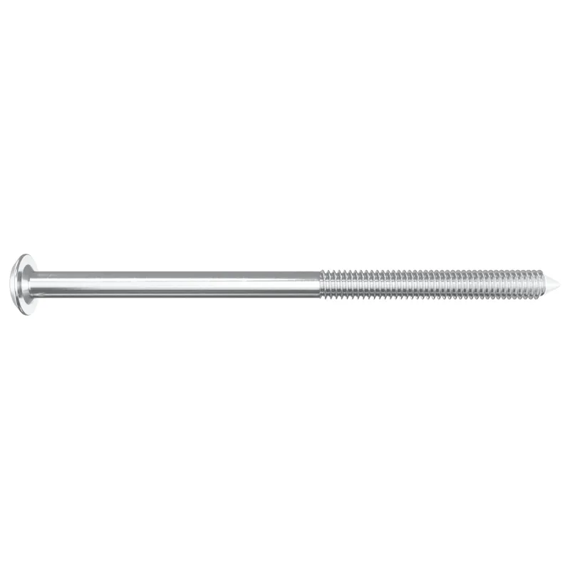 Baldų varžtai 12 pcs Sidabro M6 x 100 mm Plienas