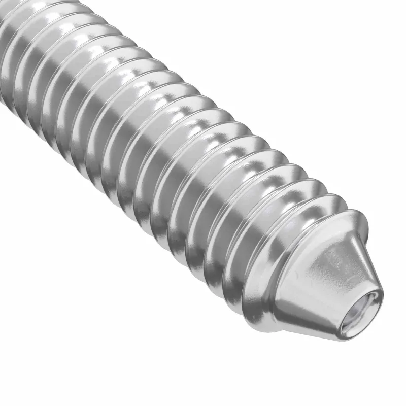 Baldų varžtai 2 pcs Sidabro M6 x 120 mm Plienas