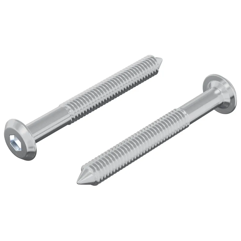 Varžtas 2 pcs Sidabro M6 x 50 mm Plienas