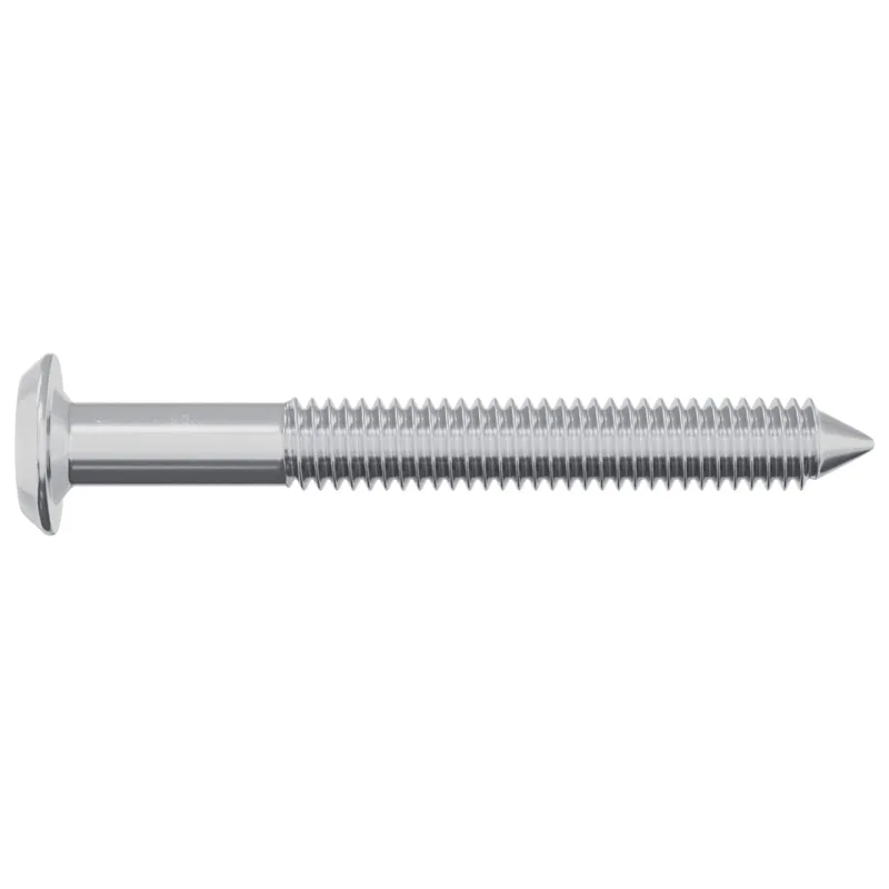 Varžtas 12 pcs Sidabro M6 x 50 mm Plienas