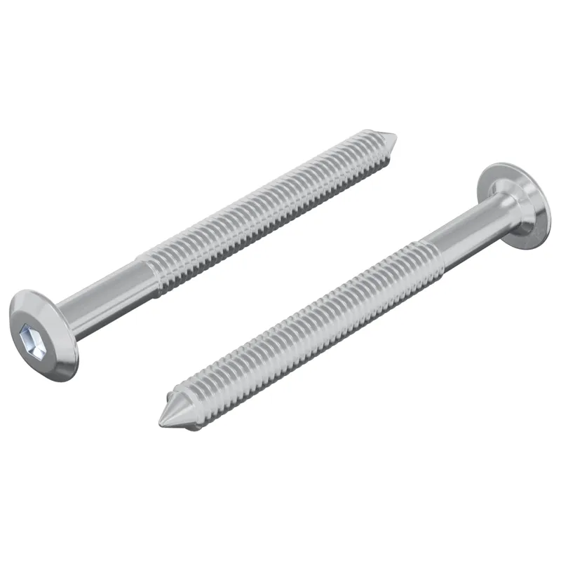 Varžtas 2 pcs Sidabro M6 x 60 mm Plienas