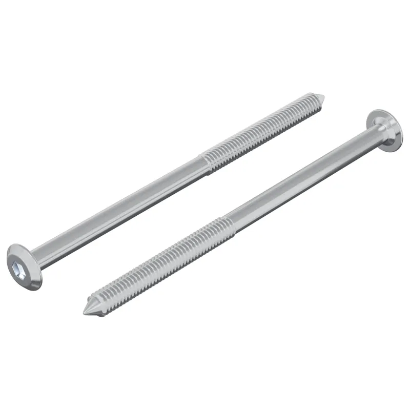 Varžtas 2 pcs Sidabro M6 x 100 mm Plienas