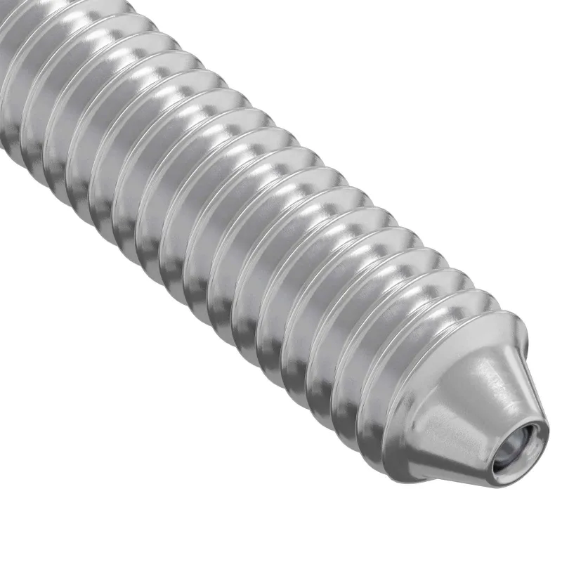 Varžtas 2 pcs Sidabro M6 x 120 mm Plienas