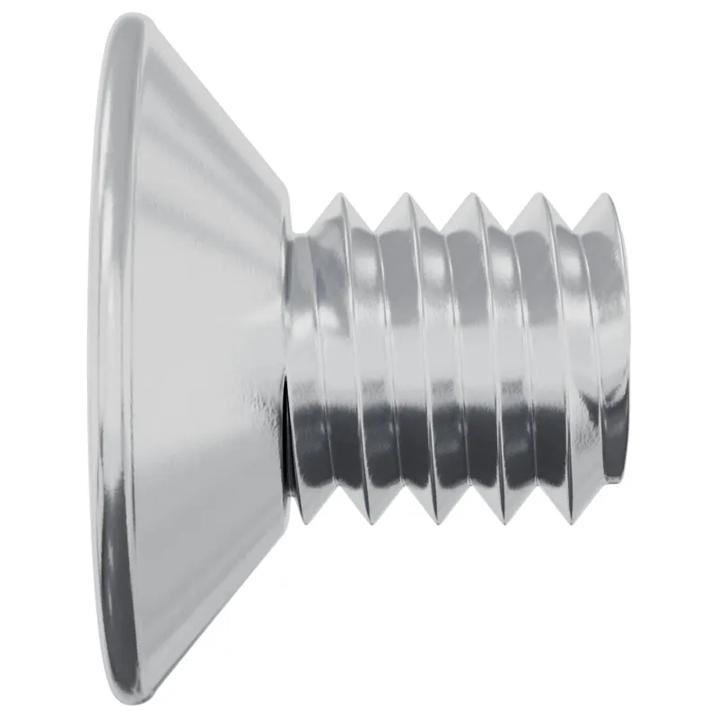 Įsukamo galvutės varžtai 2 pcs Sidabro M4 x 6 mm Plienas