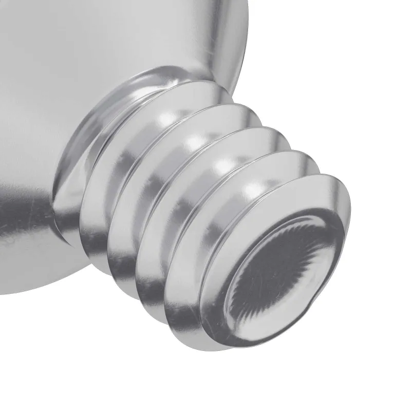 Įsukamo galvutės varžtai 2 pcs Sidabro M4 x 6 mm Plienas
