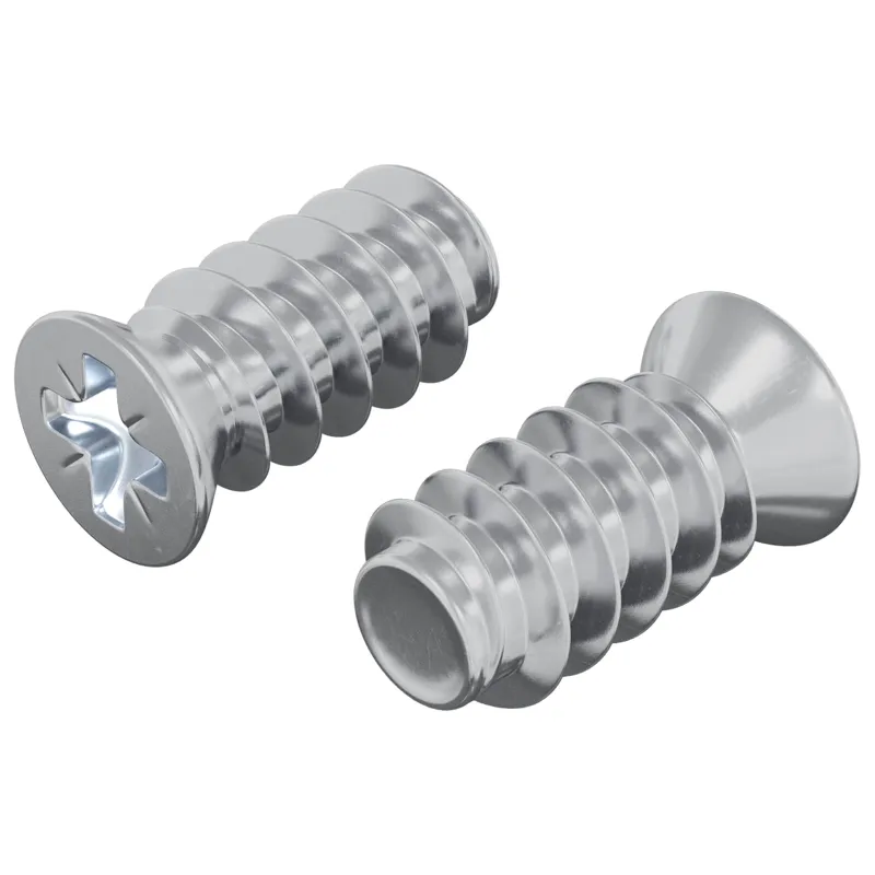 Varžtas 2 pcs Sidabro M6 x 12 mm Geležis