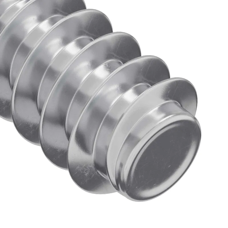 Varžtas 2 pcs Sidabro M6 x 12 mm Geležis