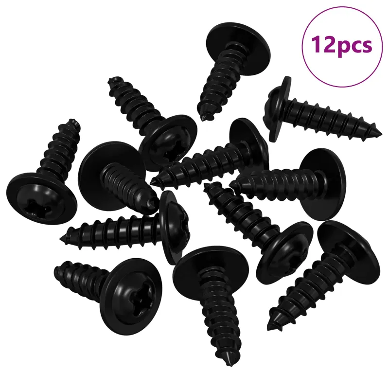 Savarankiškai įsukamas vienas 12 pcs Juoda 3,5 x 12 mm Geležis