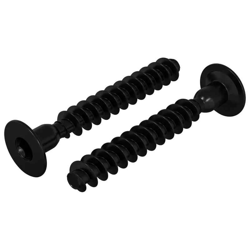 Lizdas su dangteliu varžtas 2 pcs Juoda M5 x 40 mm Geležis