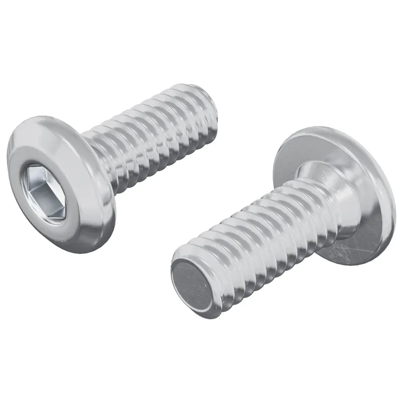 Galvos užrakto varžtas 2 pcs Sidabro M6 x 15 mm Plienas