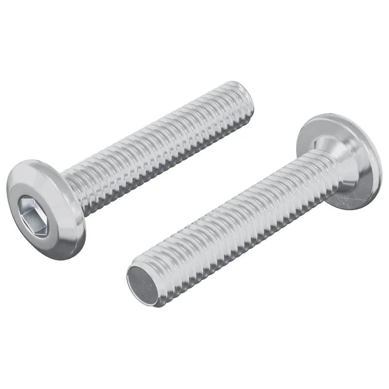 Galvos užrakto varžtas 2 pcs Sidabro M6 x 30 mm Plienas