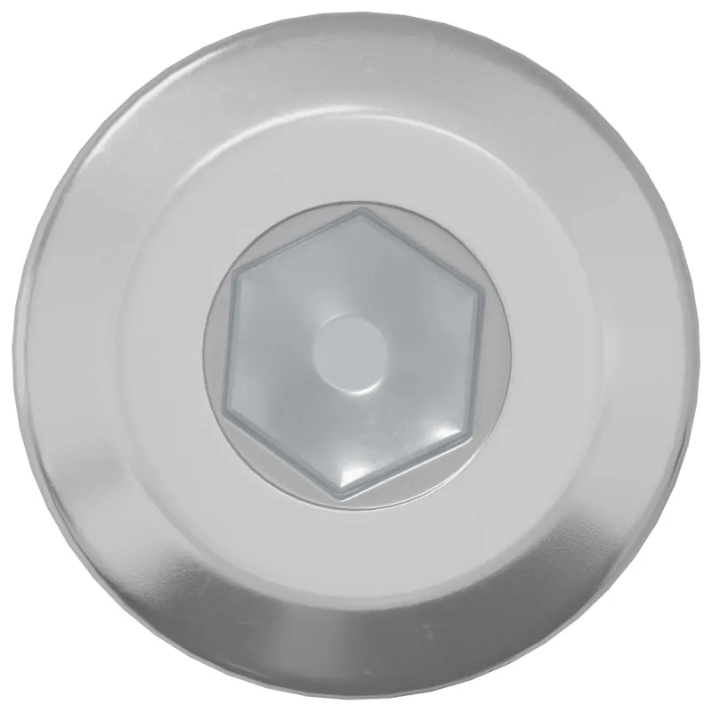 Galvos užrakto varžtas 2 pcs Sidabro M6 x 30 mm Plienas