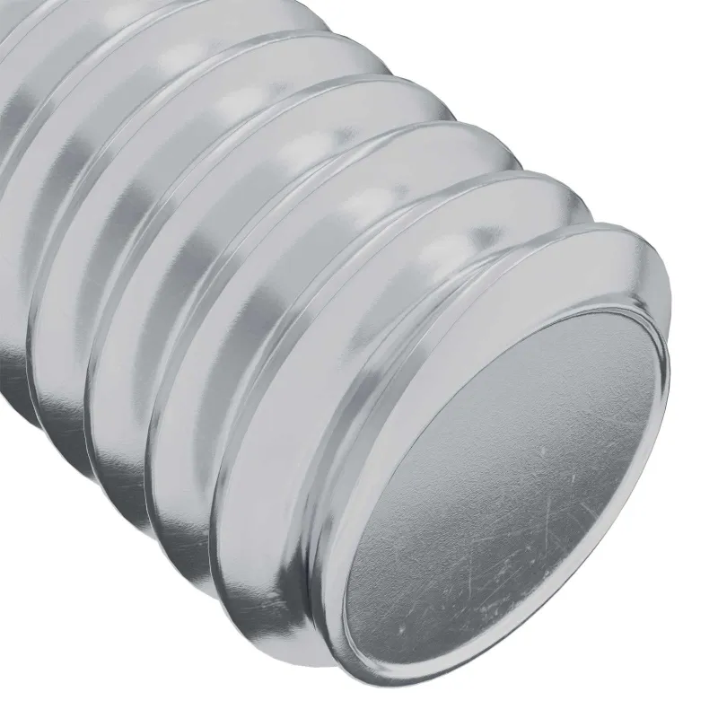 Galvos užrakto varžtas 2 pcs Sidabro M6 x 30 mm Plienas