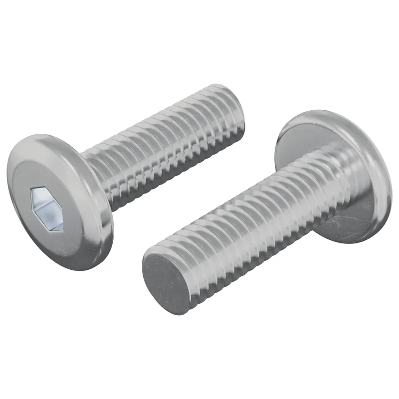 Varžtas 2 pcs Sidabro 8 x 25 mm Plienas