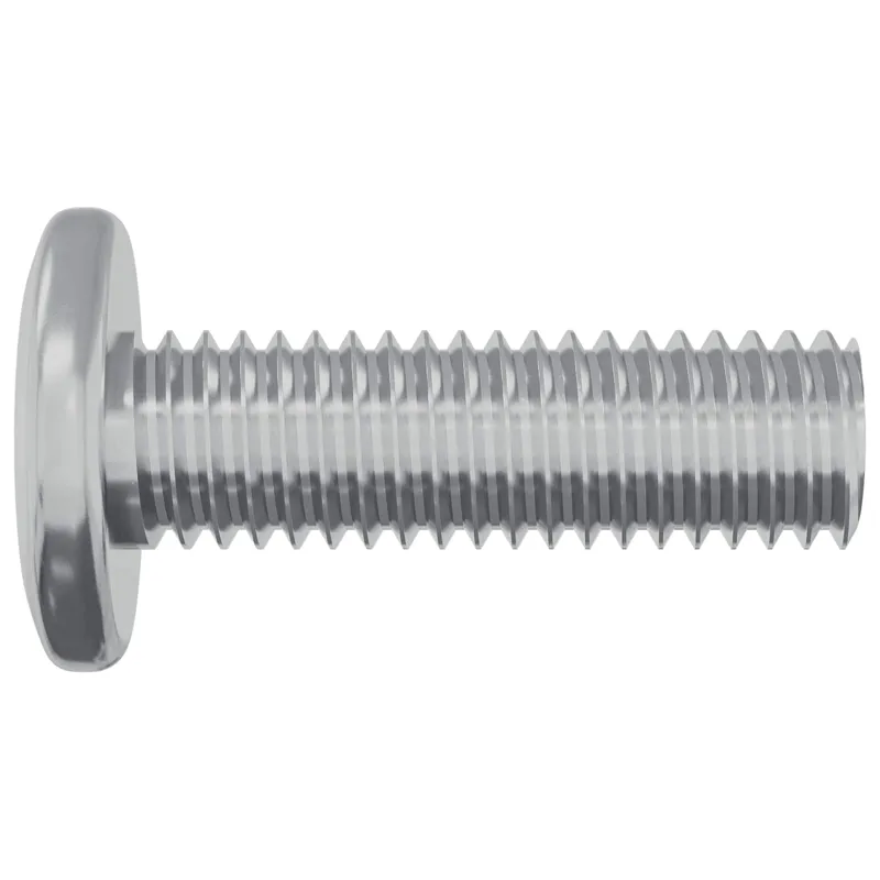 Varžtas 12 pcs Sidabro 8 x 25 mm Plienas