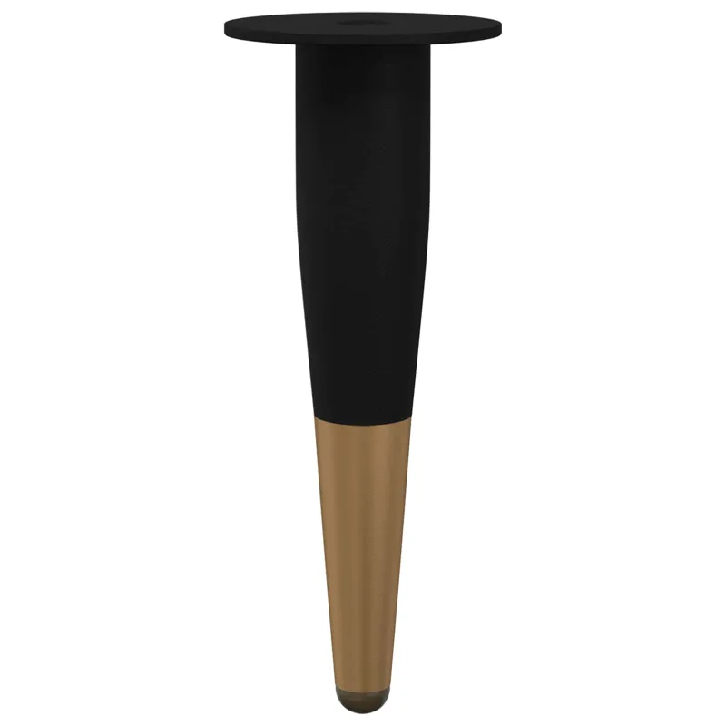 Baldų kojelės 2 pcs Juodas ir auksinis Ø 40 x 98 mm Geležis