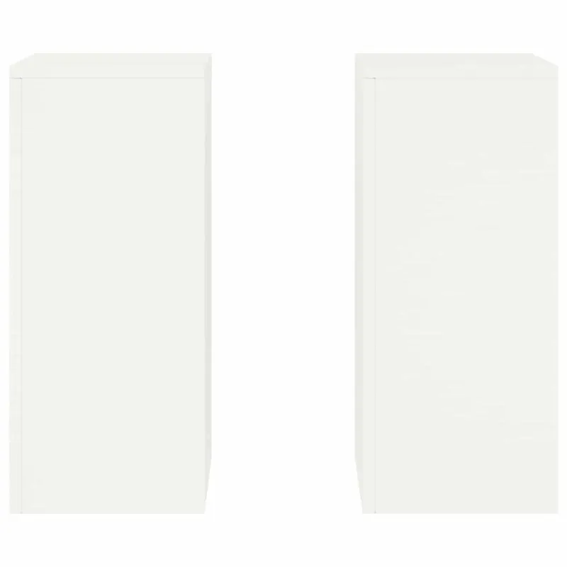 Augalų stovas 2 pcs Balta 24 x 24 x 55 cm Plienas