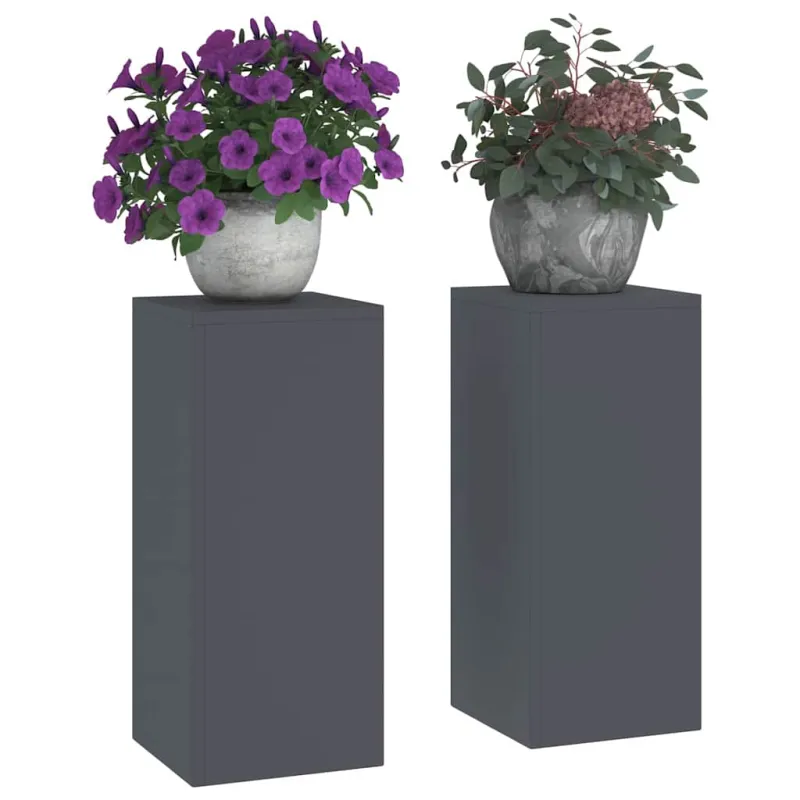 Augalų stovas 2 pcs Antracitas 24 x 24 x 55 cm Plienas