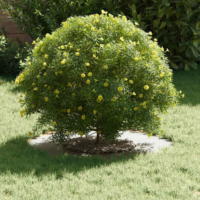tinkamas plokščiam medžio žiedui Balta Ø30 / 60 cm Plienas