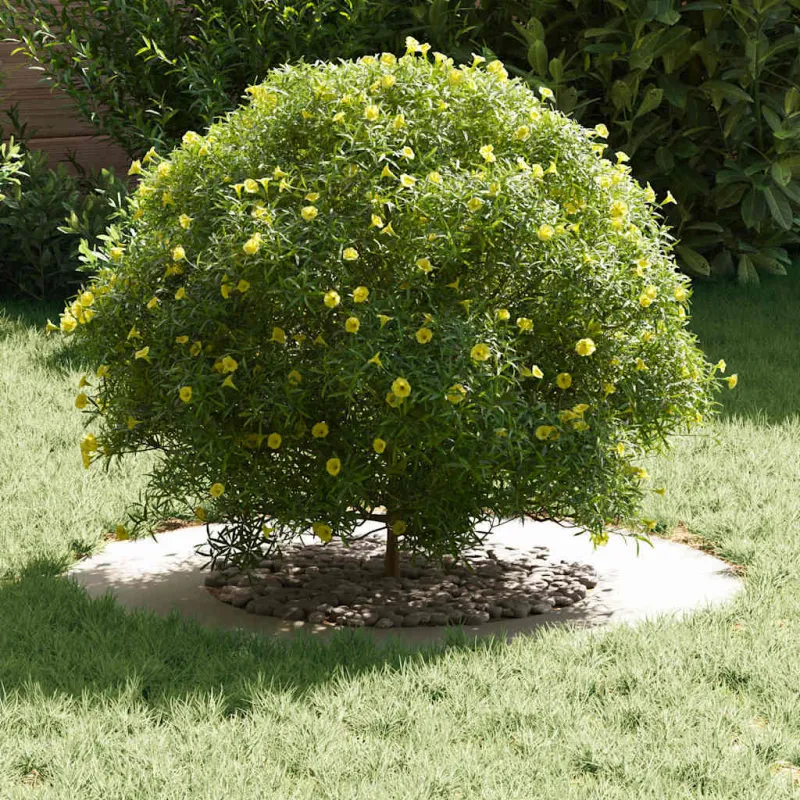 tinkamas plokštiems medžio žiedams 5 pcs Balta Ø40 / 70 cm
