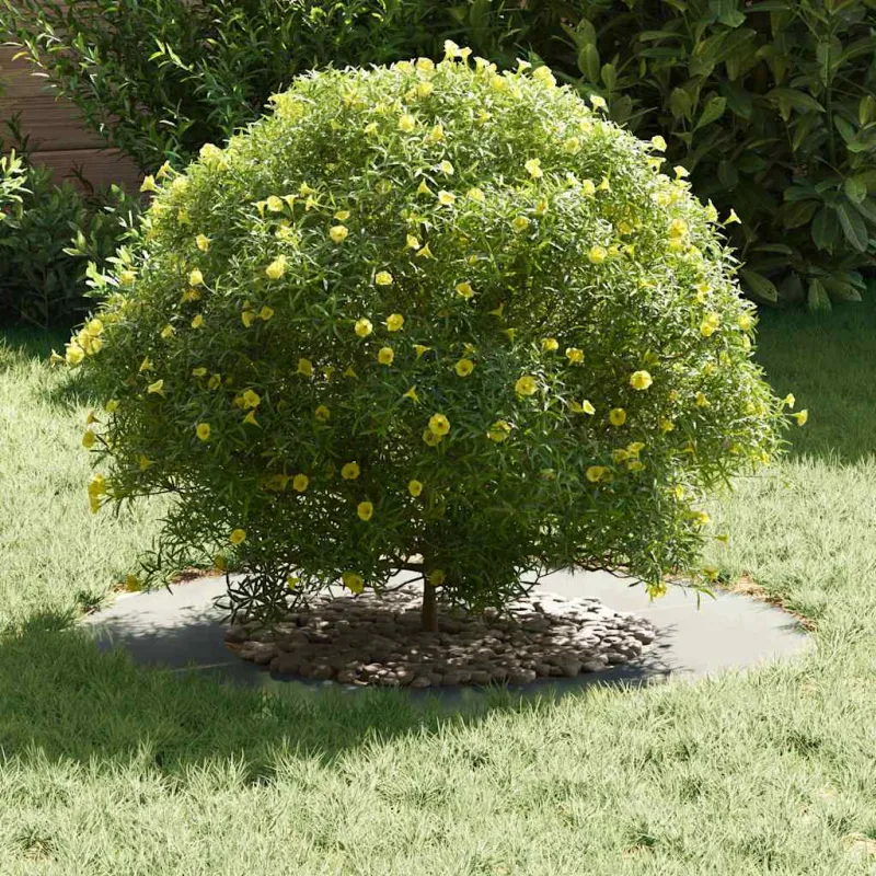 tinkamas plokščiam medžio žiedui Sidabro Ø40 / 70 cm