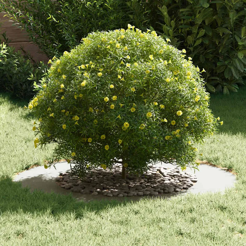 tinkamas plokštiems medžio žiedams 5 pcs Balta Ø50 / 80 cm