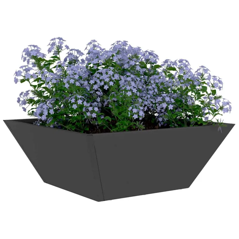 Sodo vazonas Juoda 40 x 40 x 15 cm Šaltai valcuotas plienas
