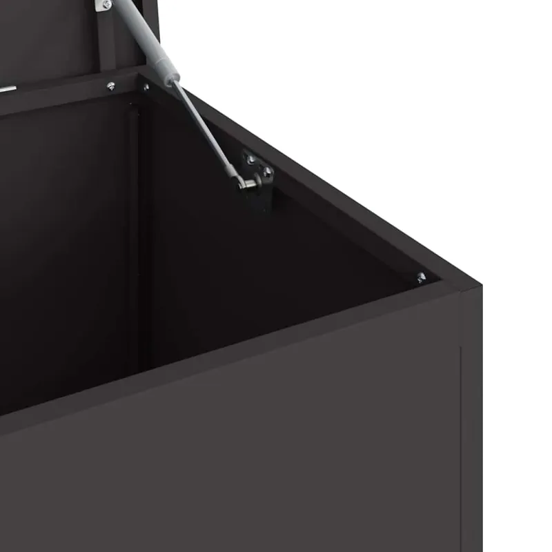 Lauko saugojimo dėžė Juoda 100 x 50,5 x 50 cm Plienas